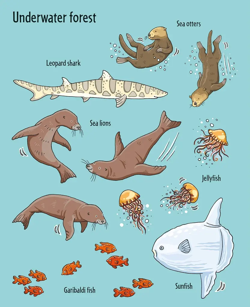 First Sticker Book: Under the Sea - фото 6