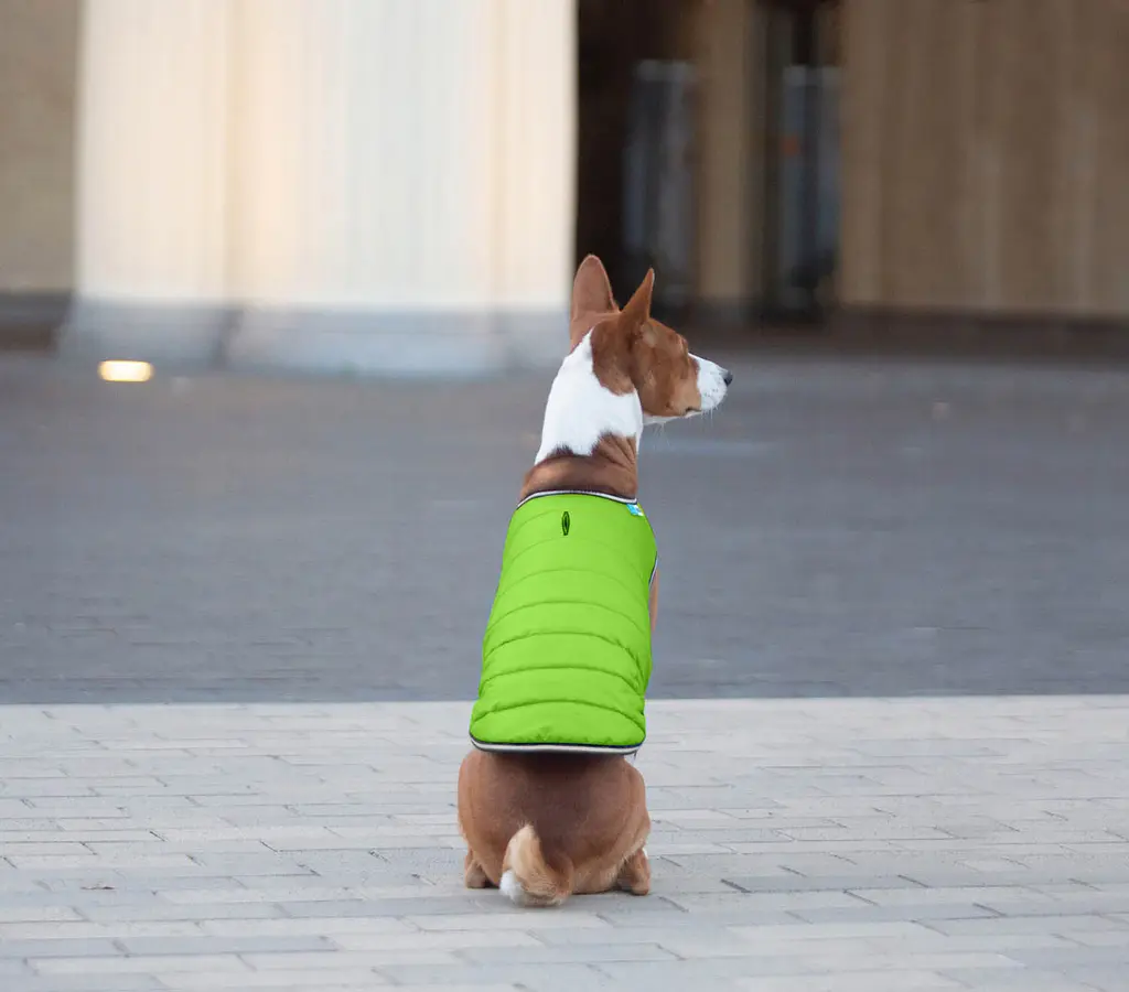 Куртка-накидка для собак AiryVest, L, салатова - фото 9