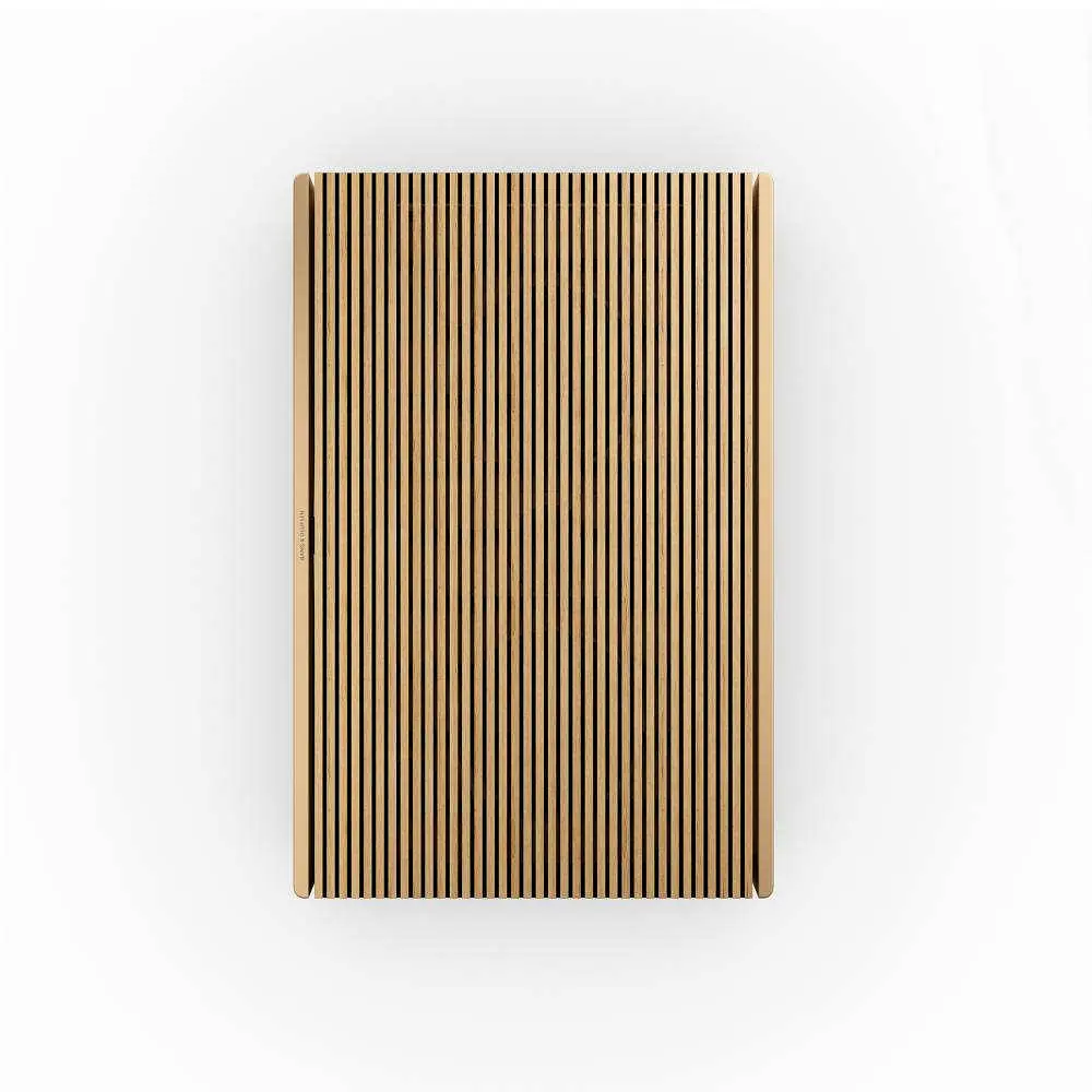 Акустическая система Bang & Olufsen Beosound Level Gold TOne Alu/Light Oak - фото 5
