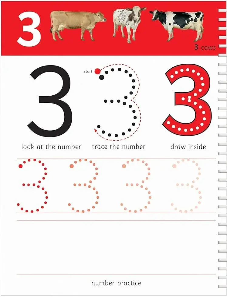 Numbers 1-20. Wipe Clean Workbooks - фото 4