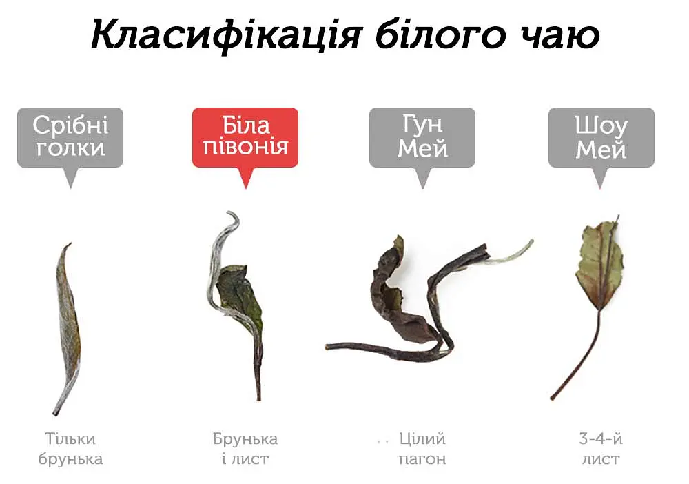 Чай Newtea Бай Му Дань Лі Да Насамперед Людяність 2022 р. - 350 г - фото 3