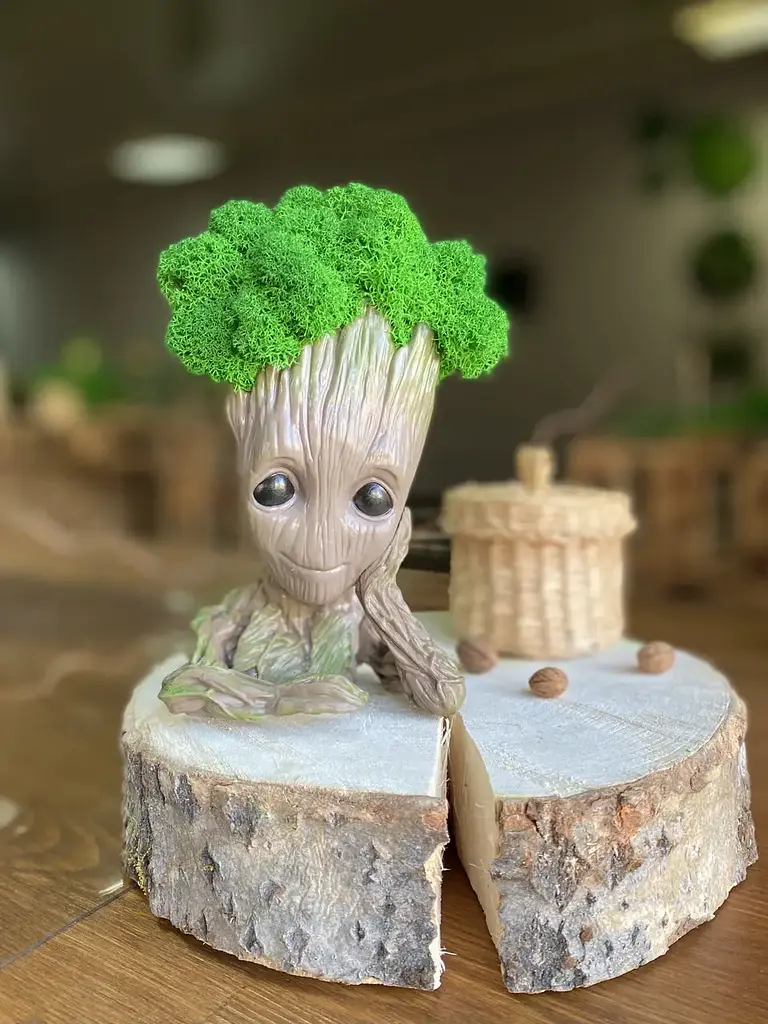 Кашпо горщик зі стабілізованим мохом Грут Groot G1 - фото 7