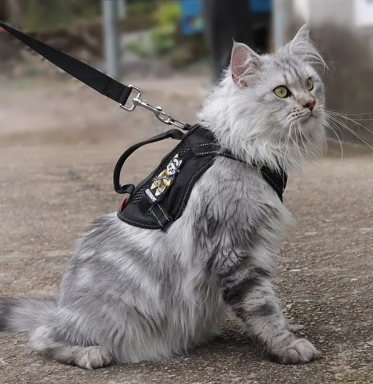 Шлейка для котів Fanxing Pet, світловідбивний жилет із ручкою M, Чорний - фото 3