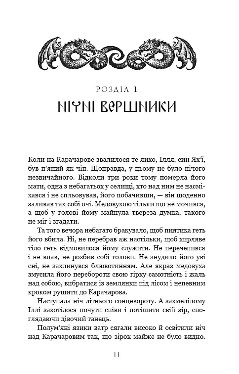 Богатир. Книга 1. Сталеве жезло - Юрай Червенак - фото 6