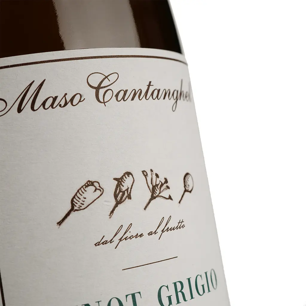 Вино Maso Cantanghel Pinot Grigio 2017, біле, сухе, 13,5%, 0,75 л (34584) - фото 3