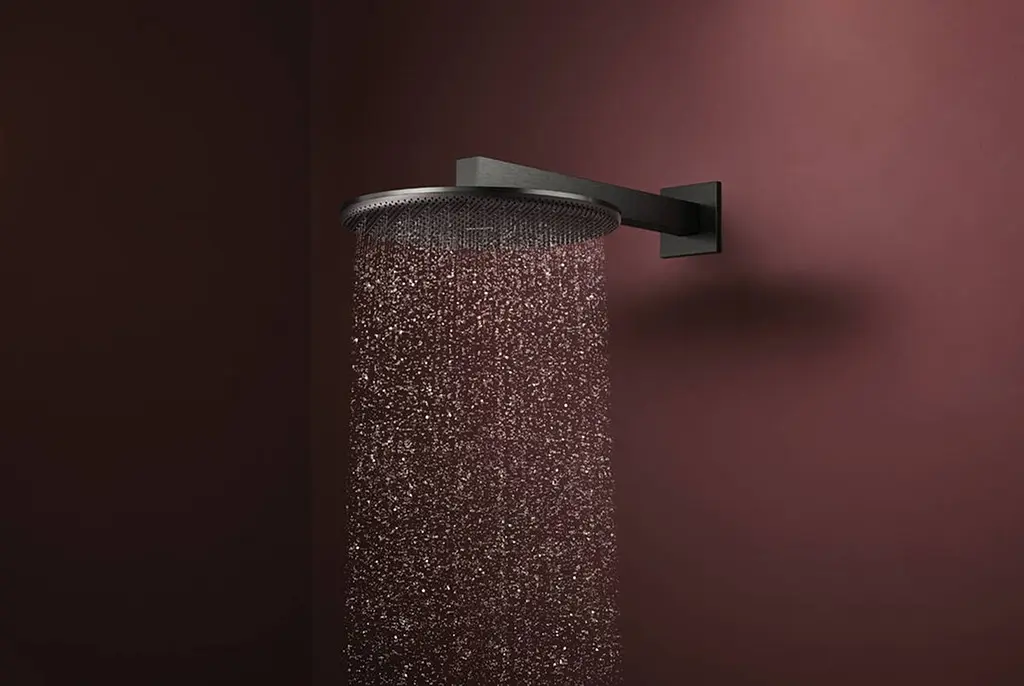 Верхній душ Hansgrohe Raindance Alive S 300 2jet EcoSmart з тримачем brushed black chrome 24541340 - фото 2