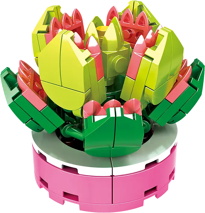 Конструктор Woma Toys Сукуленти в асортимені (8844) - фото 13