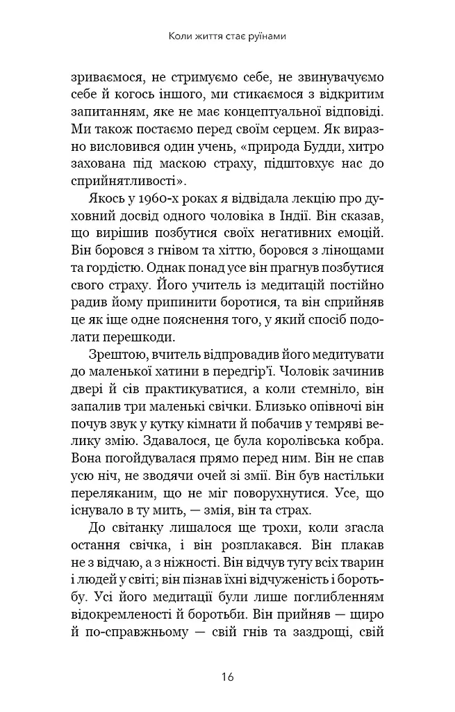 Коли життя стає руїнами. Дієві поради для важких часів - фото 10