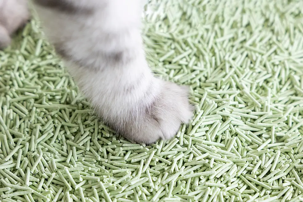 Наповнювач для котячих туалетів UniQ PETS Tofu Green Tea біорозкладний 5 кг - фото 7