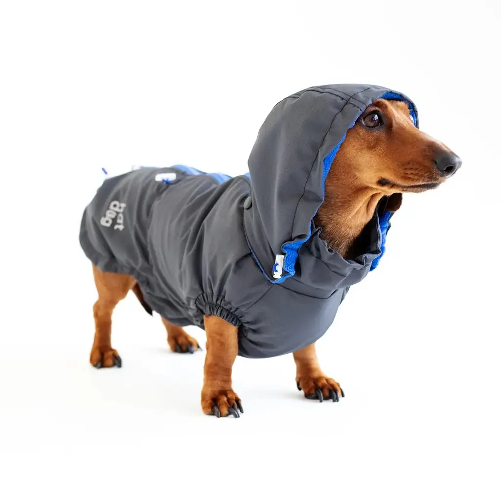Вітровка для такс Hat-Dog Графіт (XL-Long/Хлопчик) - фото 3