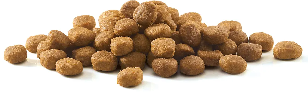 Сухой корм для взрослых домашних котов Purina One Indoor с индейкой и цельными злаками 1.5 кг (12425130) - фото 7