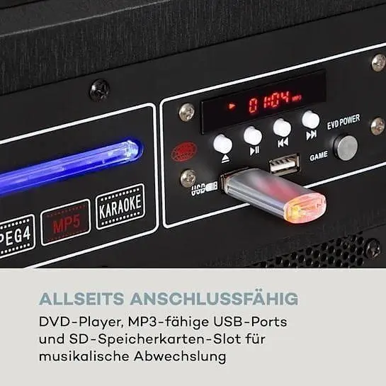 Мобильная акустическая система Auna Pro DisGo Box (10035191) - фото 6