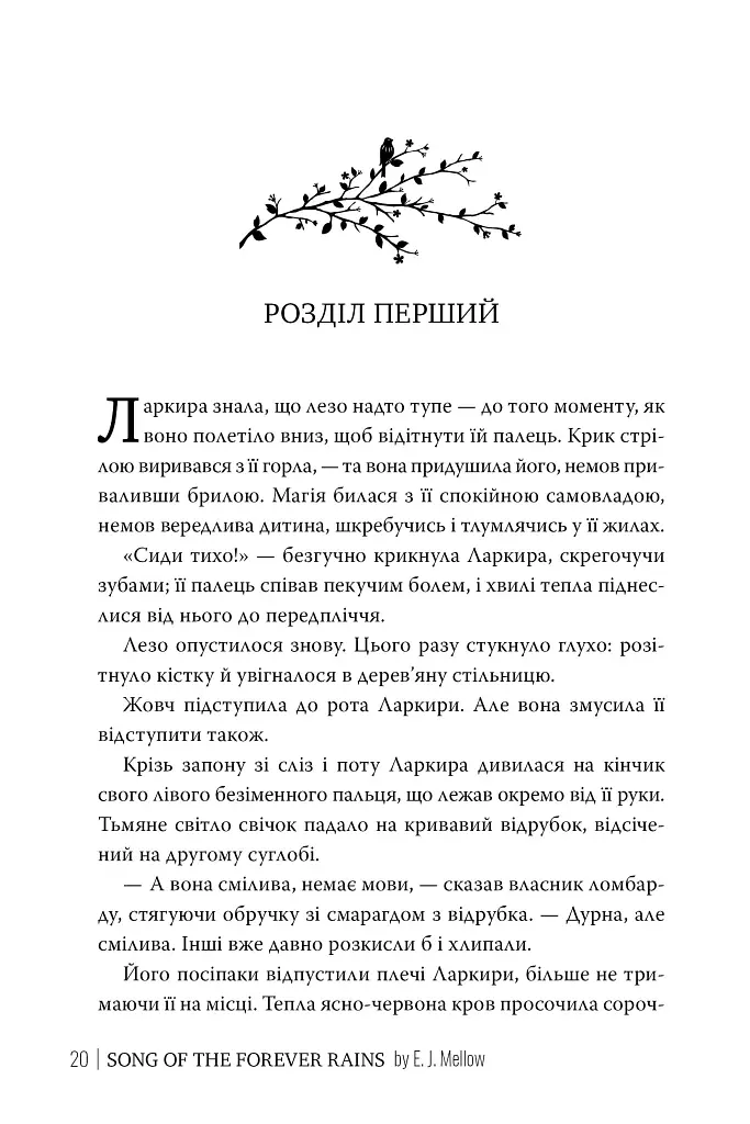 Мусаї. Книга 1. Пісня вічних дощів - Е. Дж. Меллов - фото 6