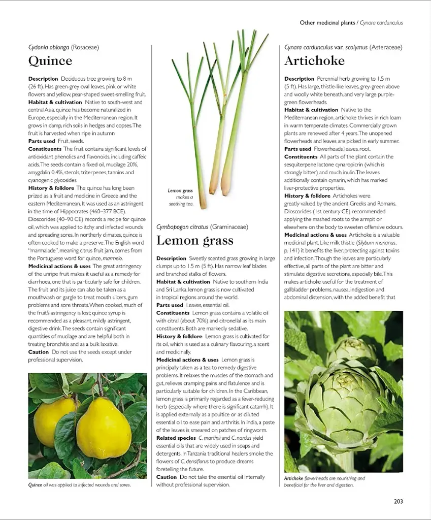 Encyclopedia of Herbal Medicine - фото 14