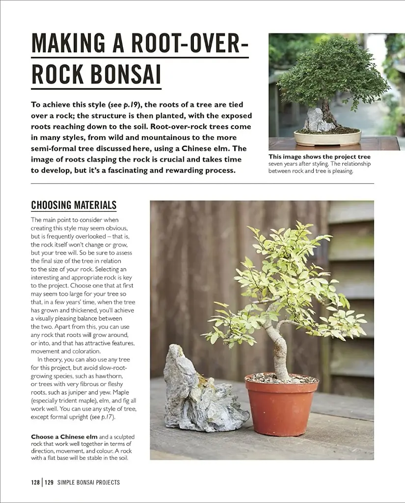 Grow Bonsai - фото 11