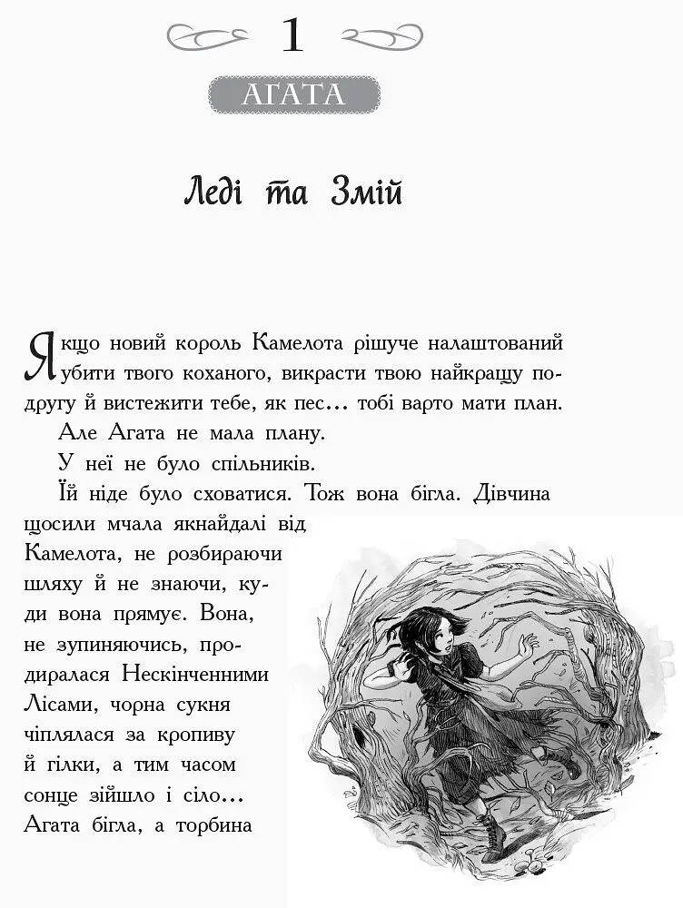 Школа добра и зла. Кристал часу. Книга 5 - Зоман Чейнані (Ч681005У) - фото 2