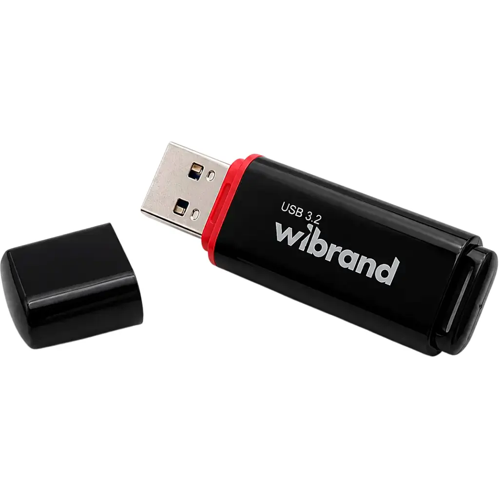 USB флеш накопичувач Wibrand 64GB Scarab Black USB 3.2 (WI3.2/SC64P11B) - фото 2