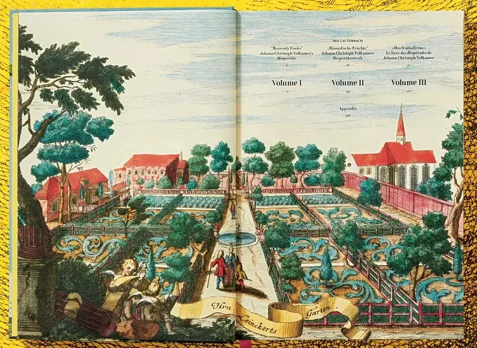 J. C. Volkamer. The Book of Citrus Fruits - фото 4