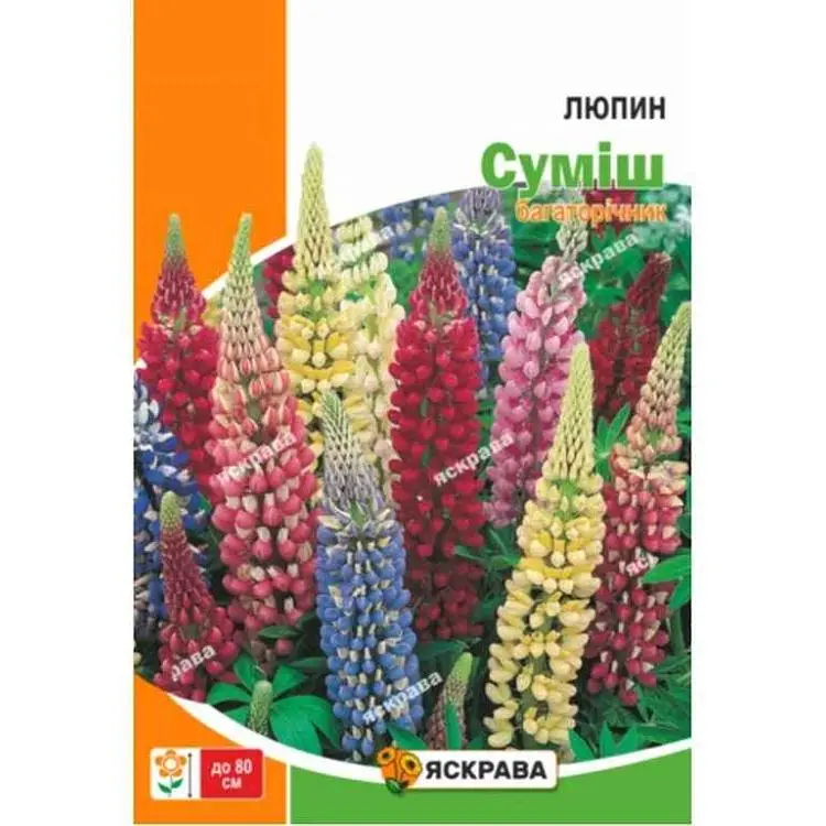 Люпін ЯСКРАВА Люпин Багаторiчний Сумiш (20 пачок) 0,5г