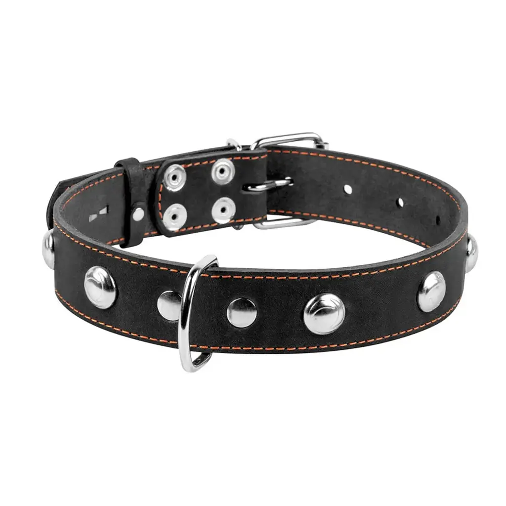 Нашийник Collar одинарний з прикрасами, 48-63х3,5 см, чорний - фото 2