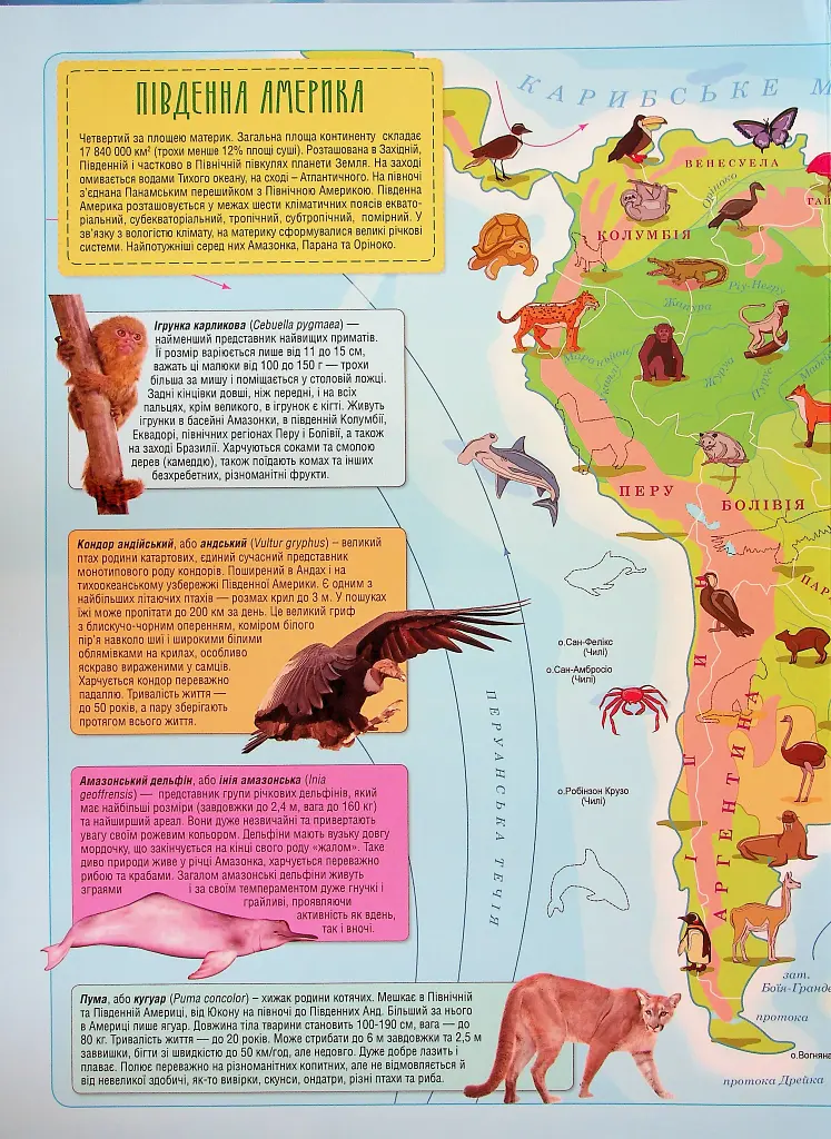 Атлас. Тварини семи континентів - фото 6