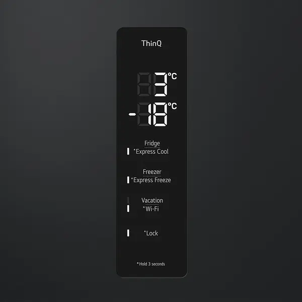 Холодильник LG GW-B509FXUW - фото 8