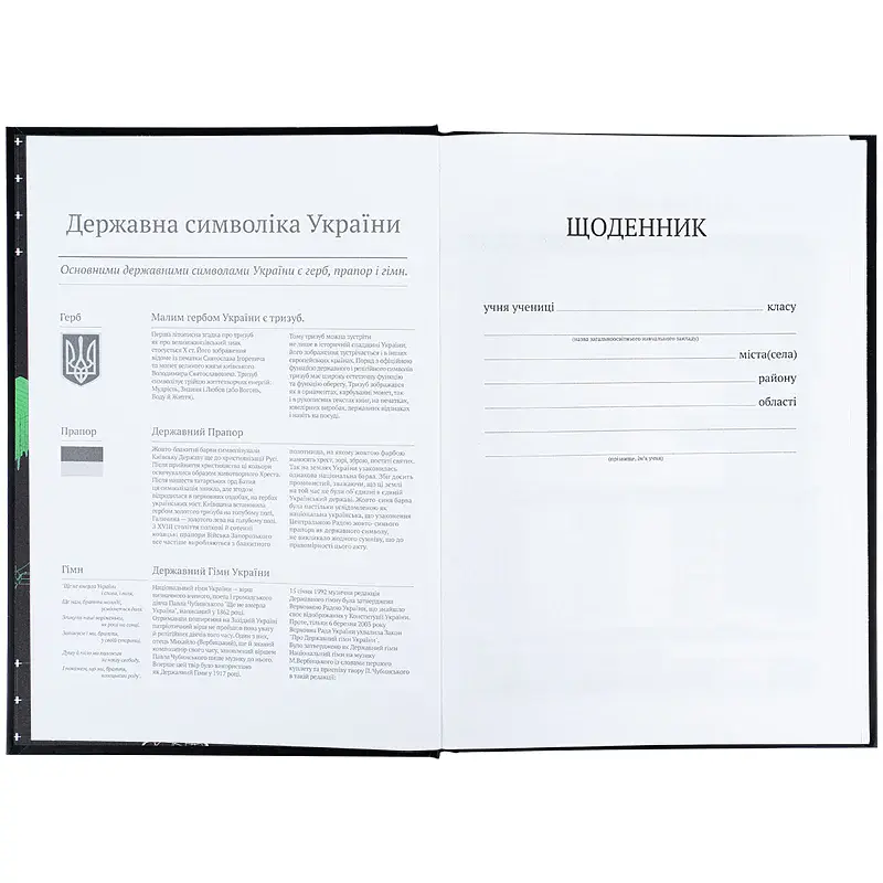 Щоденник шкільний Kite CyberRink 170х238 мм чорний (K25-262-9) - фото 4