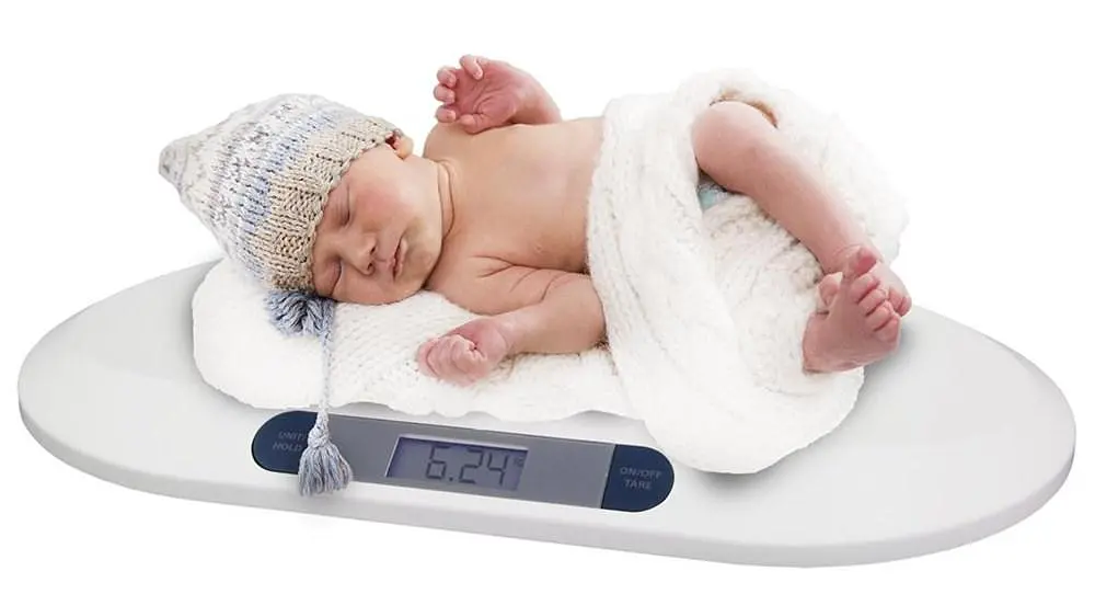 Ваги для новонароджених Esperanza EBS015 Bambino