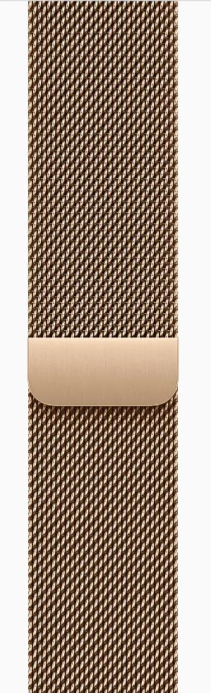 Смарт-часы Apple Watch Series 10 GPS + Cellular 46mm Gold Titanium Case w. Gold Milanese Loop - M/L (MX003) - фото 3