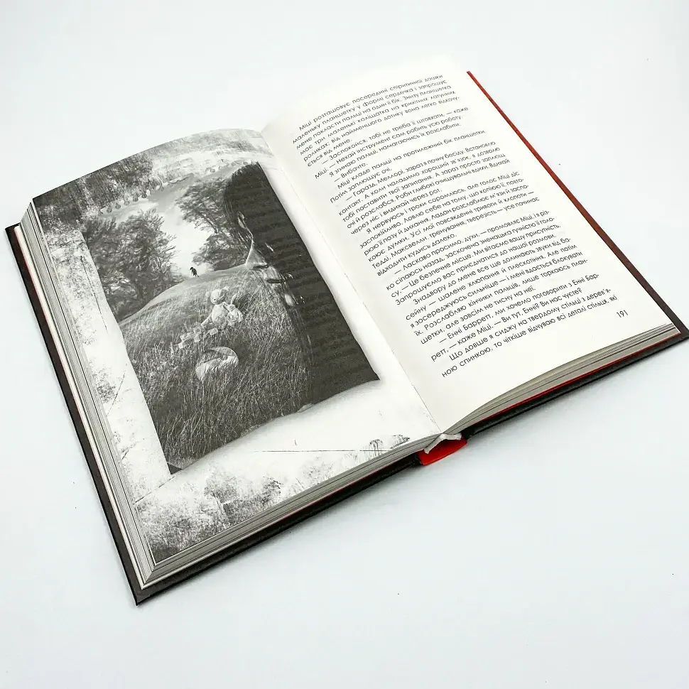 Приховані малюнки - Рекулак Джейсон | Клуб Сімейного Дозвілля, книга українською, нова, тверда - фото 3