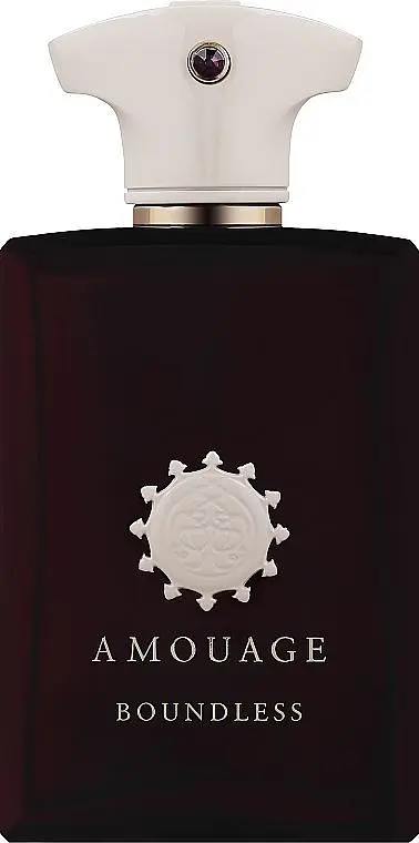 Оригінал Amouage Boundless Man 100 мл Парфумована вода