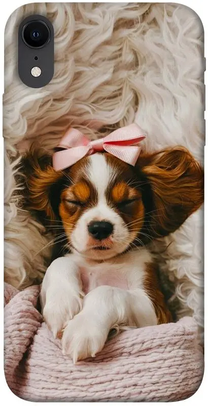 TPU чохол Demsky Sleepy spaniel для Apple iPhone XR (6.1")