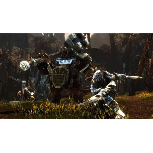 Игра Kingdoms of Amalur Re-Reckoning (русская версия) (Nintendo Switch) - фото 4