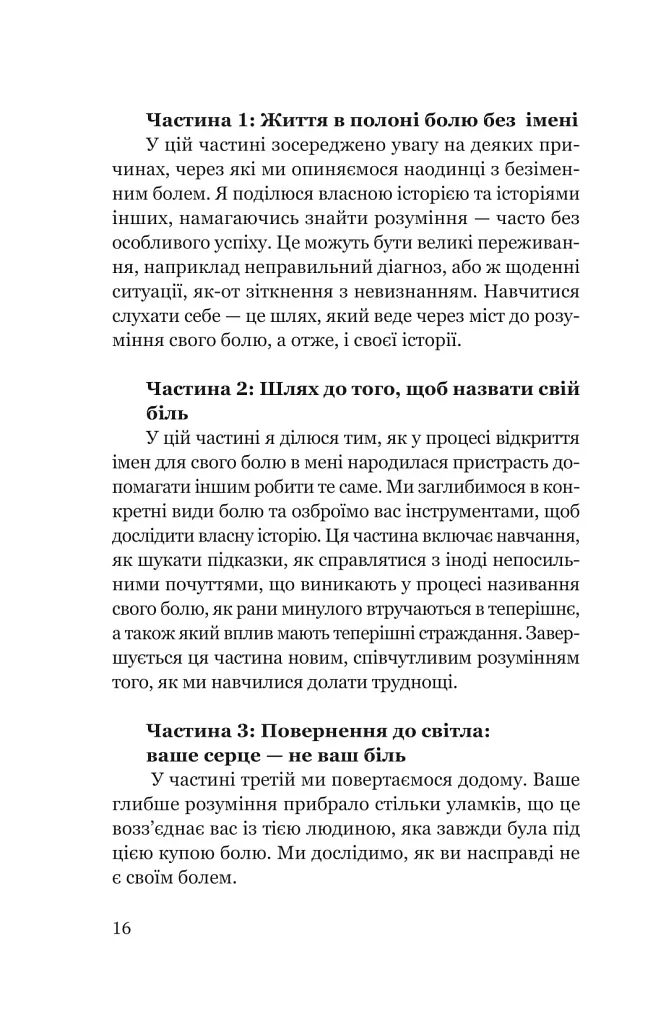 Твій біль має ім’я - ДіКрістіна Моніка - фото 11