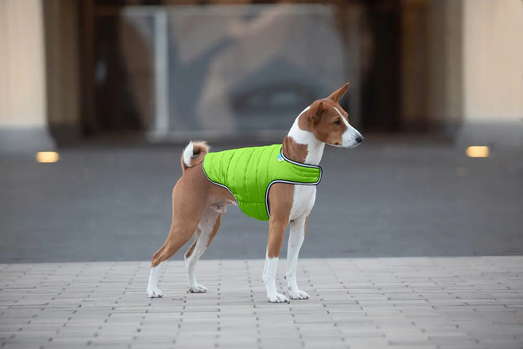 Куртка-накидка для собак AiryVest, L, салатова - фото 2