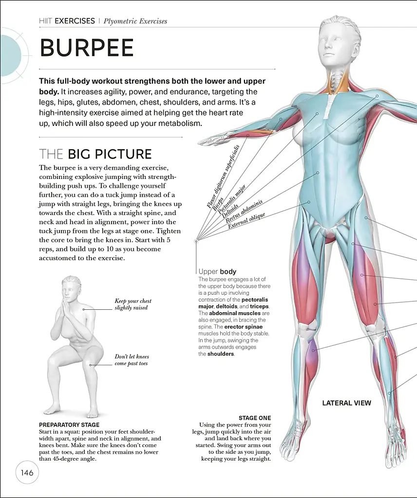 Science of HIIT - фото 13