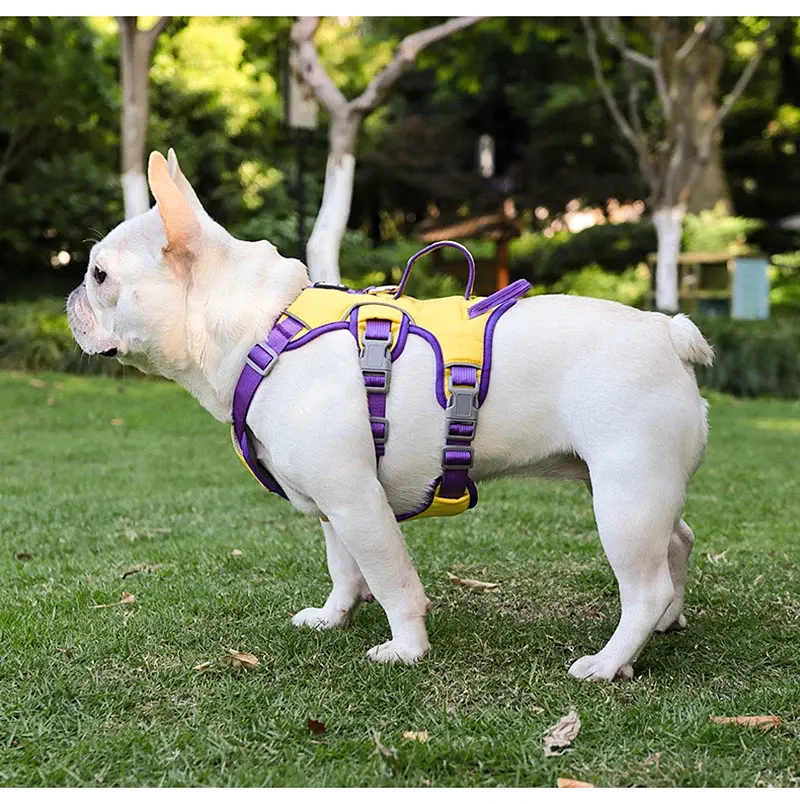 Шлея для собак Derby Pet harness FH107, M Жовтий - фото 2