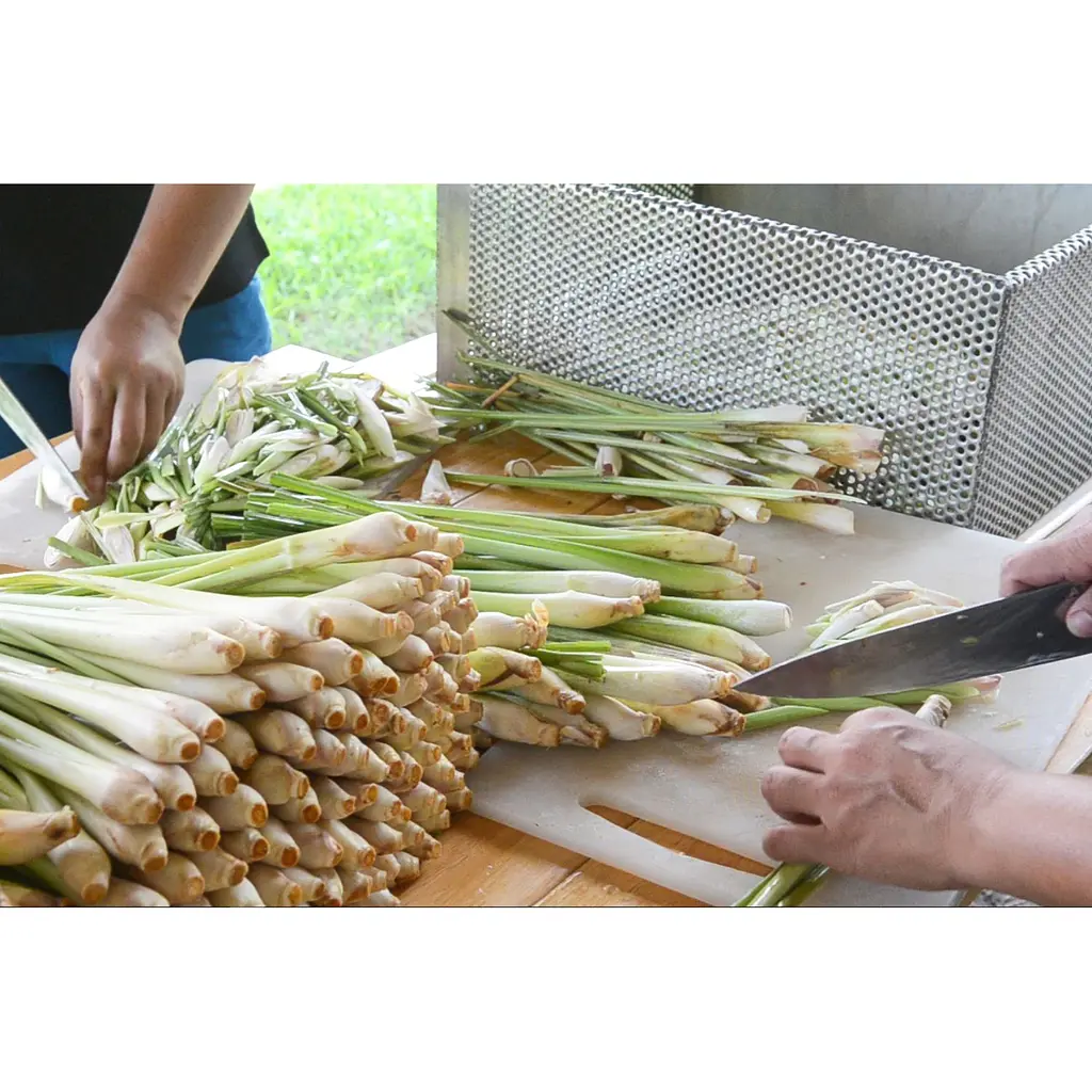 Ром Chalong Bay Lemongrass 40% 0.7 л - фото 5