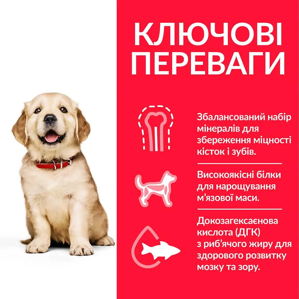 Сухий корм Hill’s SP Puppy Large Breed для цуценят великих порід з куркою 14.5 кг - фото 2