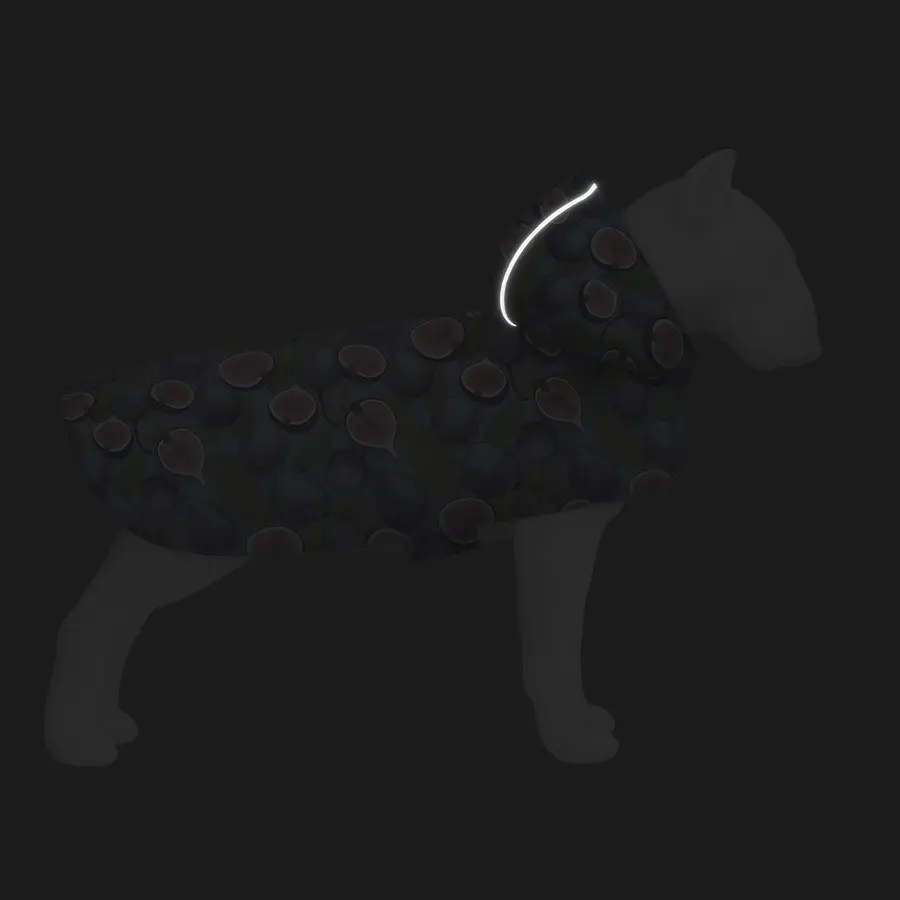 Дождевик-накидка с капюшоном для собак Collar Waudog Clothes, рисунок "Инжир", M, А 40-43 см, B 52-62 см, С 33-42 см - фото 5