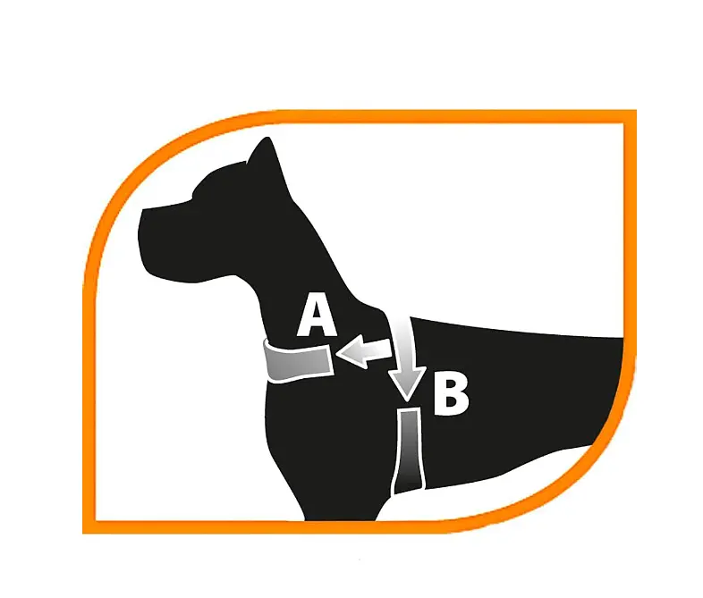 Шлея для собак Ferplast Sport Dog PS: 48 см B: 58-71 см 78004628 - фото 2