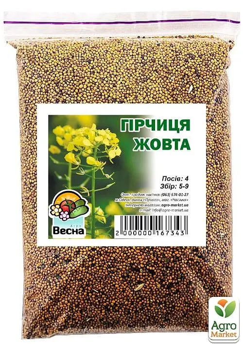 Насіння Весна гірчиця жовта 500 г (36605) - фото 2