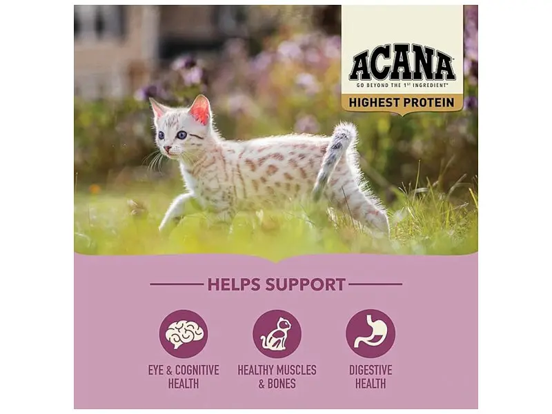 Сухой корм для кошек ACANA Highest Protein Kitten Recipe 1.8 кг (0064992723255) - фото 6
