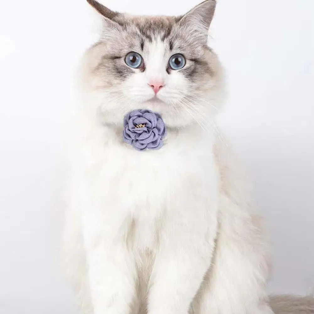 Нашийник для котів Kitty, прикрашений милою квіткою Фіолетовий - фото 2