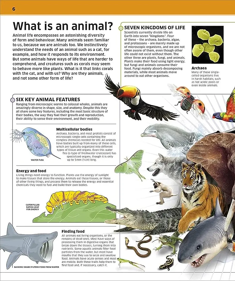 Knowledge Encyclopedia Animal! - фото 2