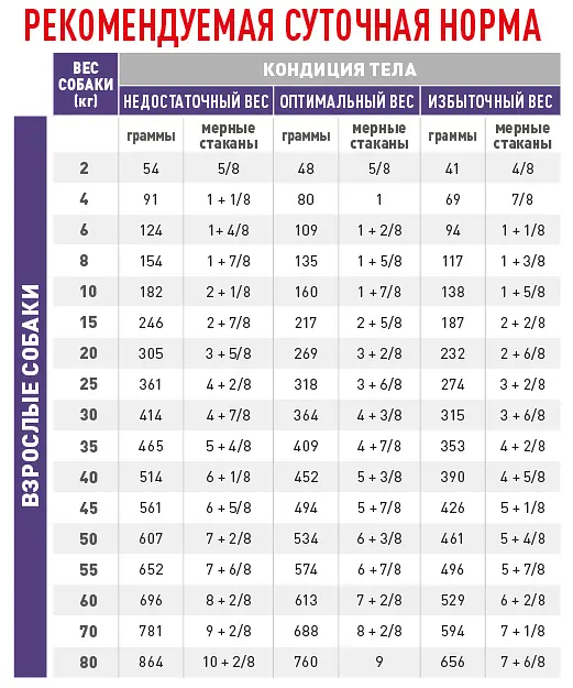 Вологий корм для дорослих кастрованих собак Royal Canin Neutered Adult Dog, шматочки в соусі, 100 г (1505001) - фото 5