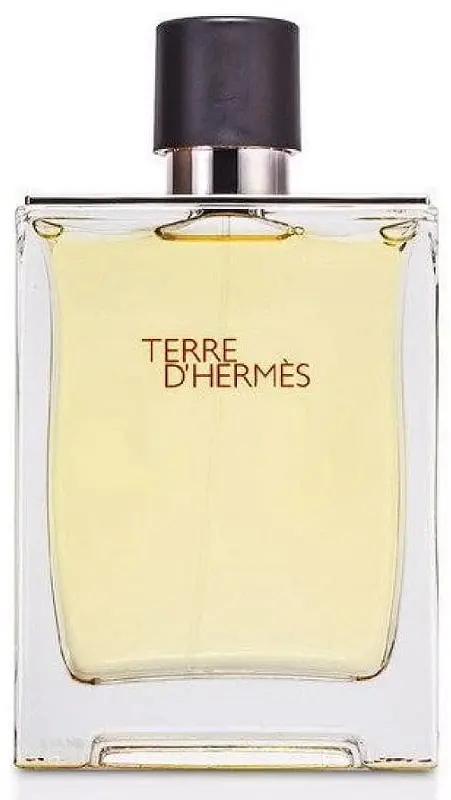 Туалетна вода Terre d'hermes Eau De Toilette 100 ml - фото 2