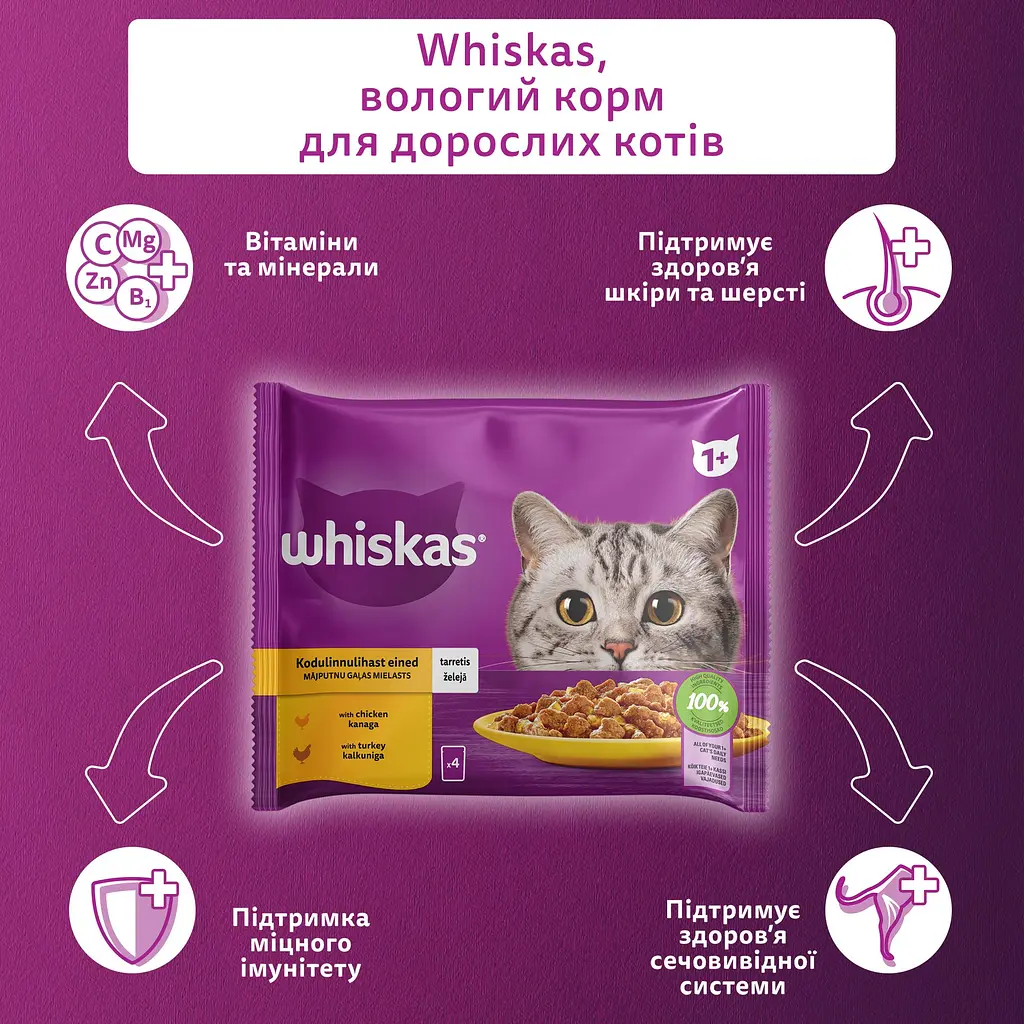 Набір корму для котів Whiskas курка/індичка в желе 4 шт. x 85 г - фото 5