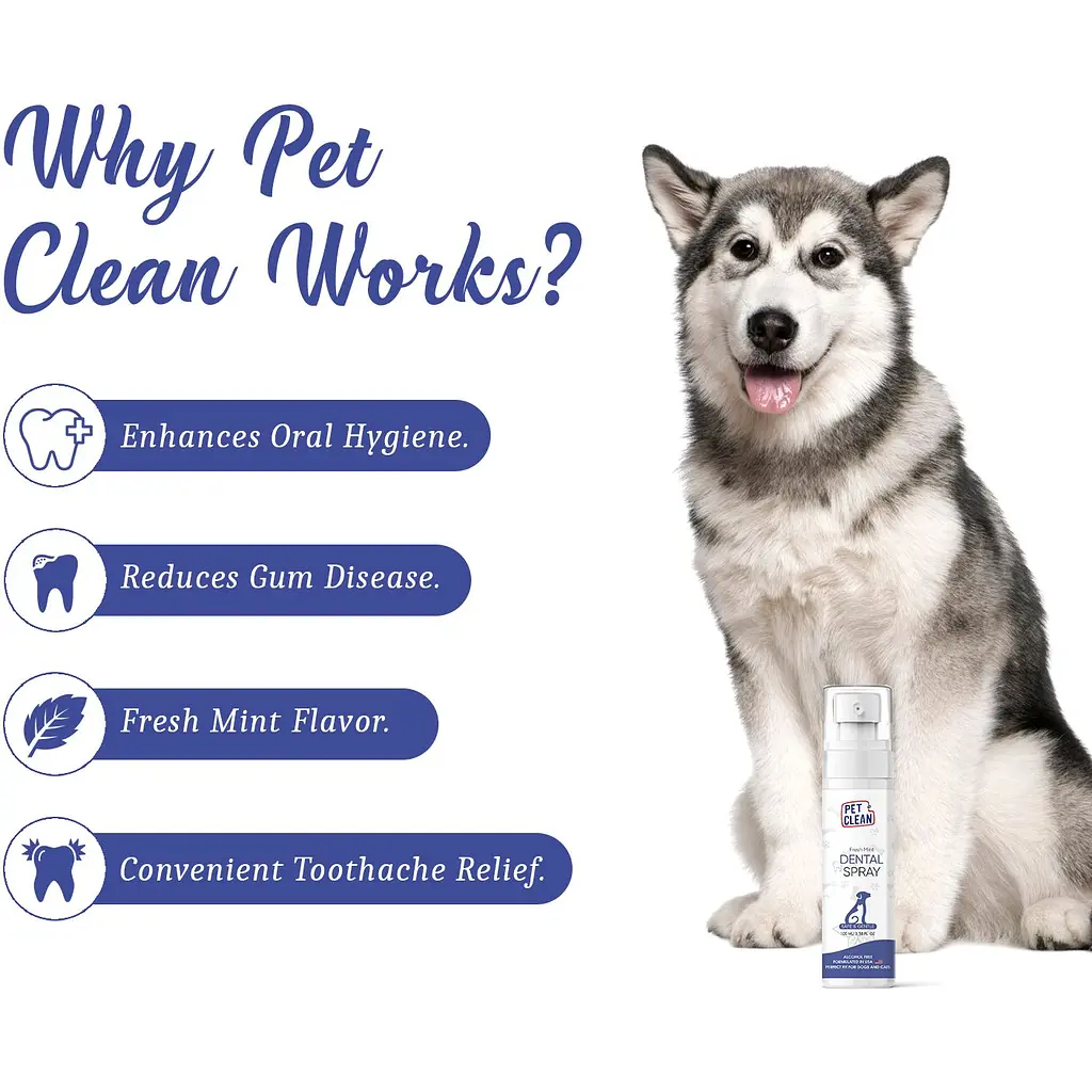 Спрей Pet Clean Dental для гигиены полости рта и поддержания здоровья зубов домашних животных 100 мл - фото 3