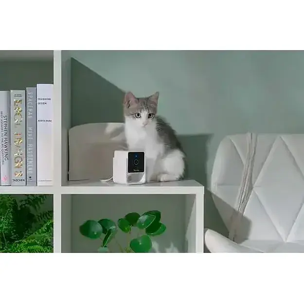 Камера видеонаблюдения за домашними животными Petcube Cam CC10US [87035] - фото 5